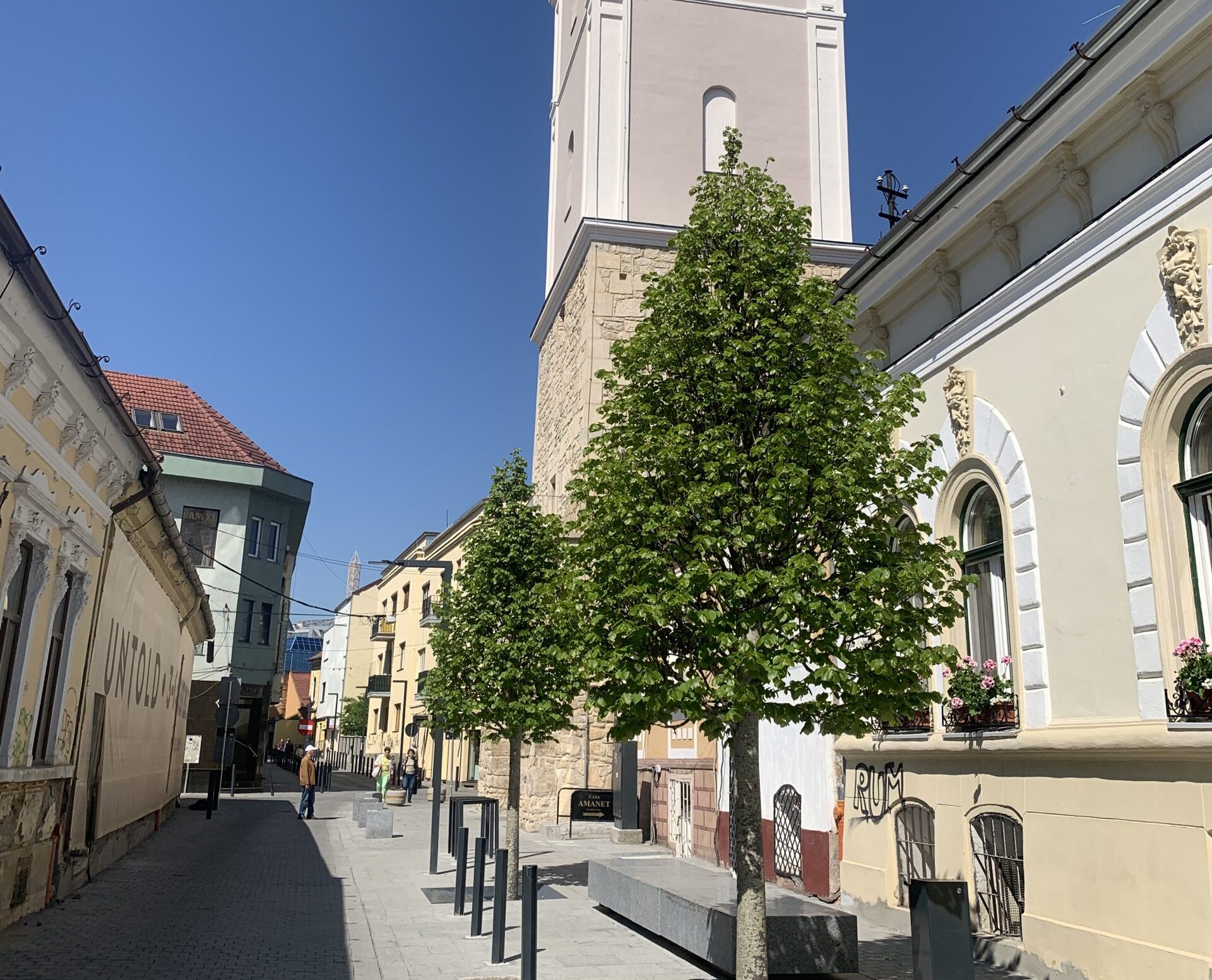Lucrare executa de Garden Trade in centrul orasului Cluj-Napoca